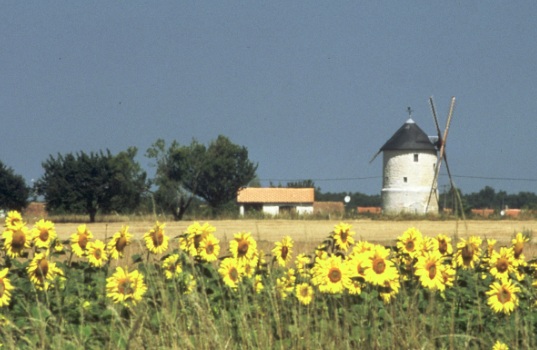 charente-maritieme, poitou-charentes