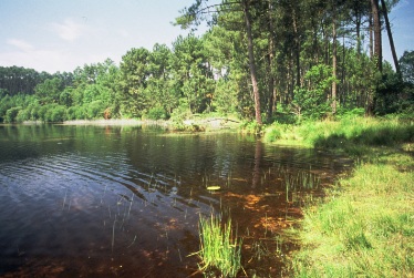 camping aan meer