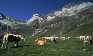 midi pyrenees