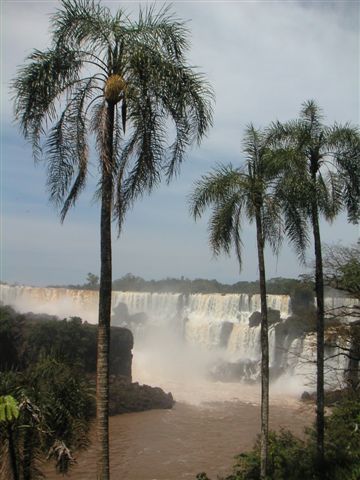 palmbomen watervallen Iguazu