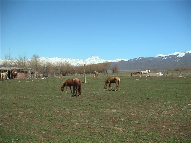 Valle de Uco