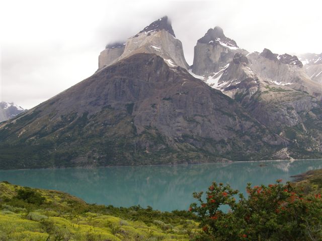 de Cuernos - horens - Chili