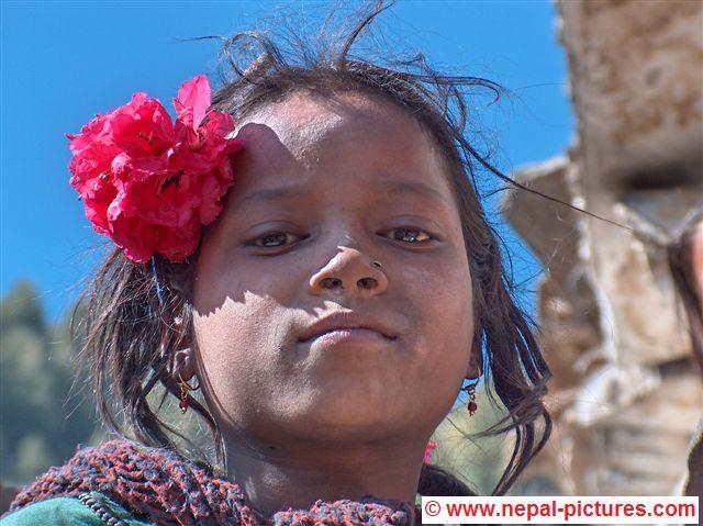 Nepali girl with Rhododendron in Murma village