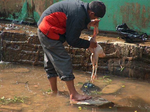 dakshinkali