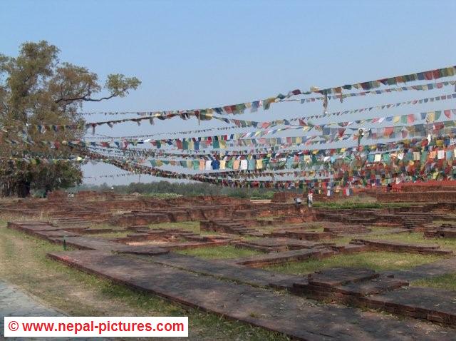 Ruins ancient monasteries and stupas Lumbini