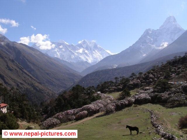 Ama Dablam from Tengboche