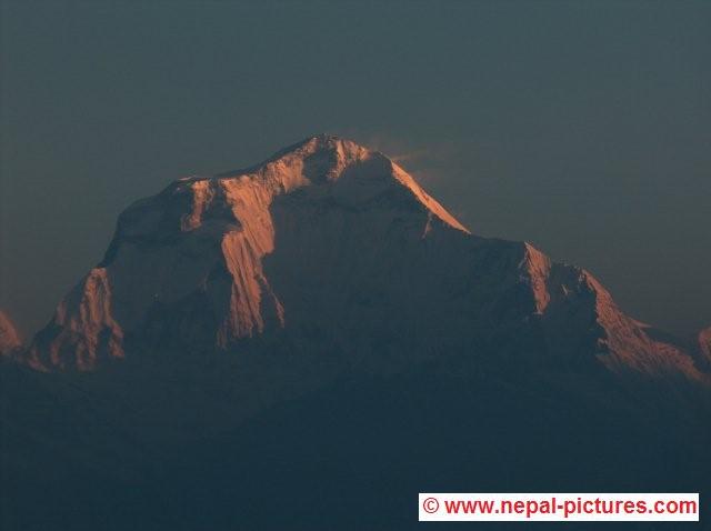 Dhaulagiri from Poon Hill