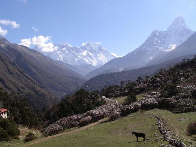 Everest Base Camp trek