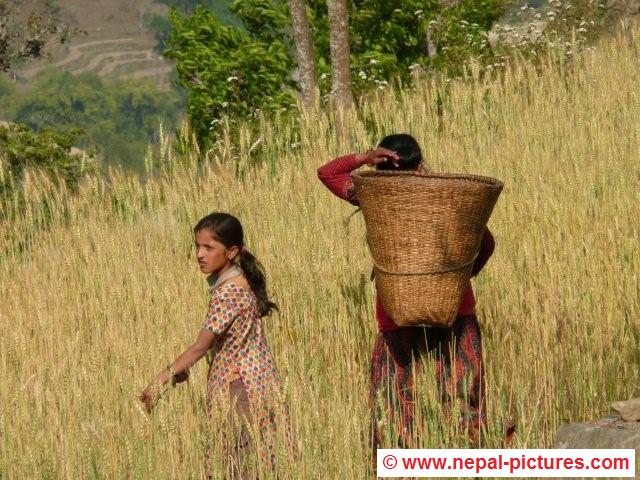 Hike from Gorkha to Arughat