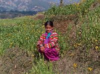 Nepali girl village near Pokhara