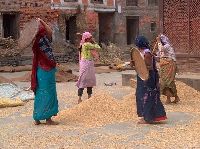 Newari women in Bungamati