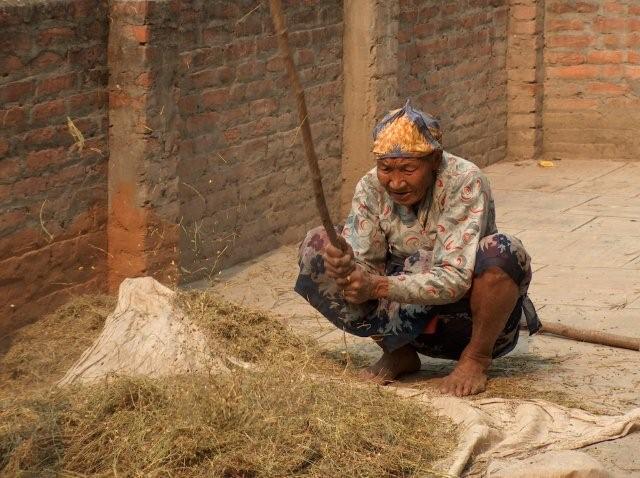 Old woman processing harvest in Khokna