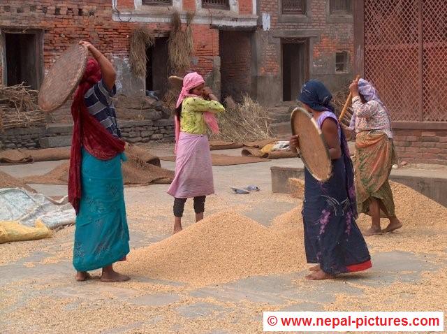 Newari women in Bungamati