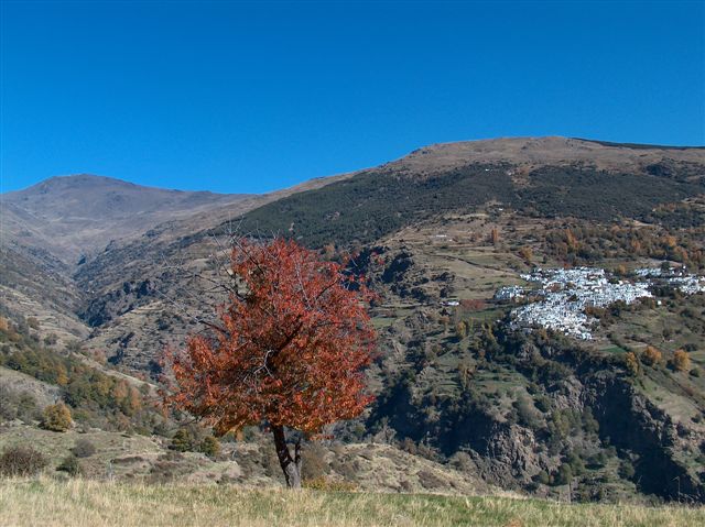 Sendero Sulayr