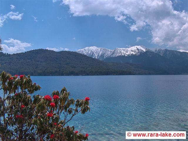 Rara lake