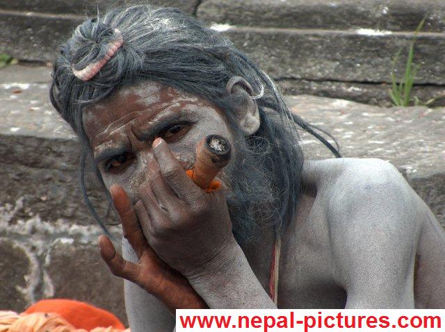 Maha Shivaratri