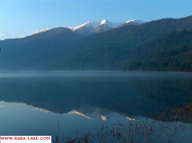 Early morning fog