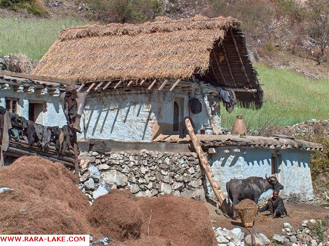 House near Talcha